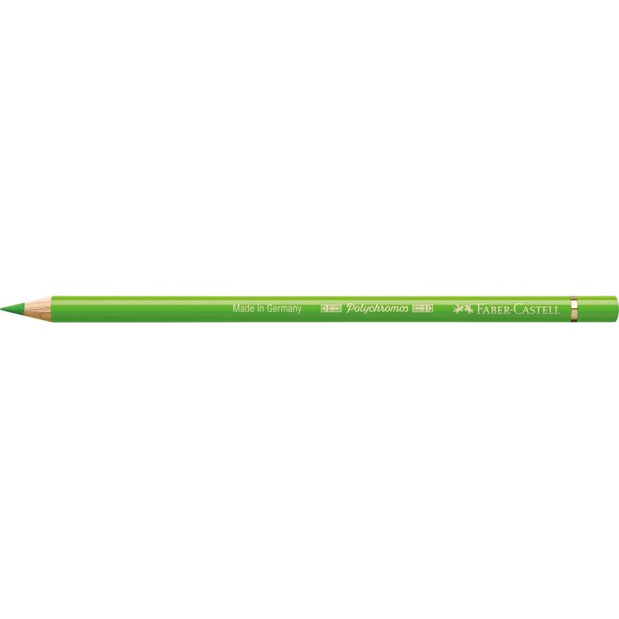 Faber-Castell - Lápis Polychromos Verde Grama 166