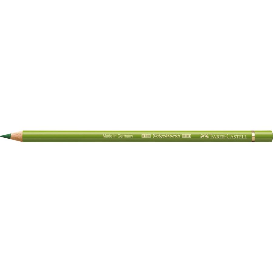 Faber-Castell - Lápis Polychromos Verde Terra Amarelado 168