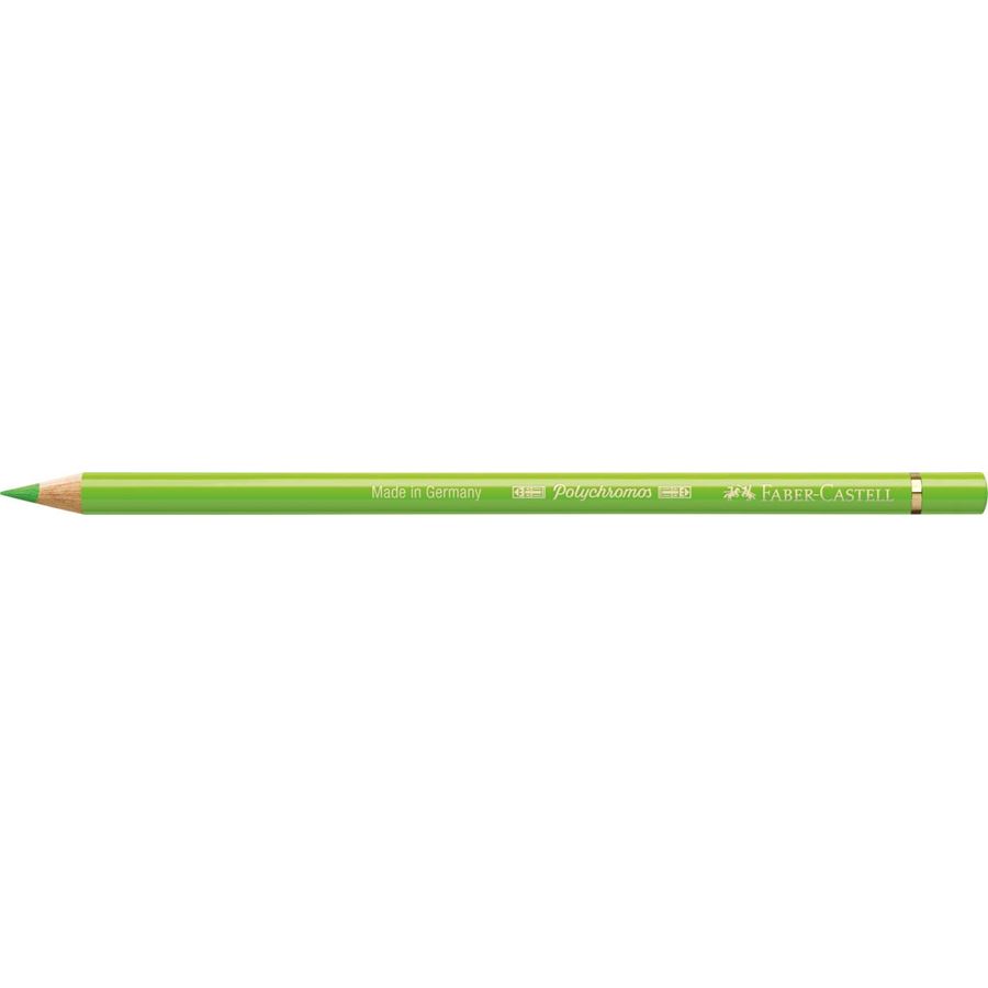 Faber-Castell - Lápis Polychromos Verde Claro 171